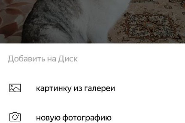 Через какой браузер заходить на кракен