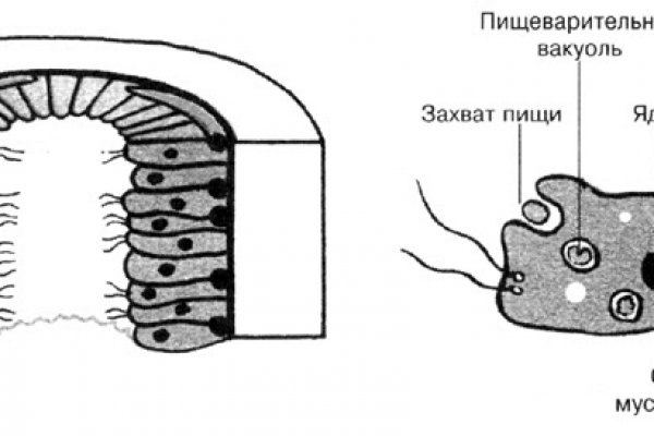 Ссылки сайтов даркнета