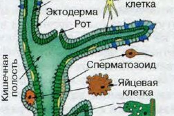 Kra40.cc