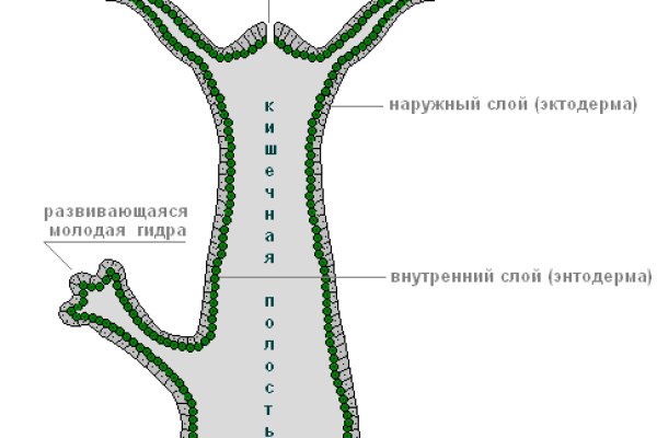 Кракен как зайти
